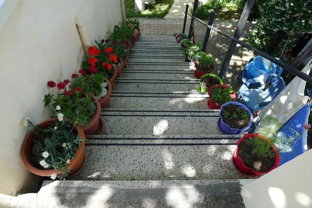 Summer House - Room For 2 People In 2Nd Floor Velipojë 0*,