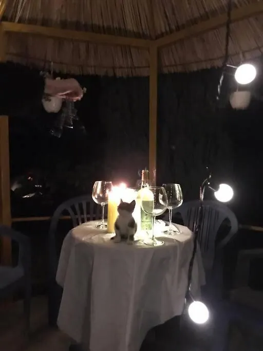 Holiday home Summer House - Room For 2 People In 2Nd Floor Velipoje