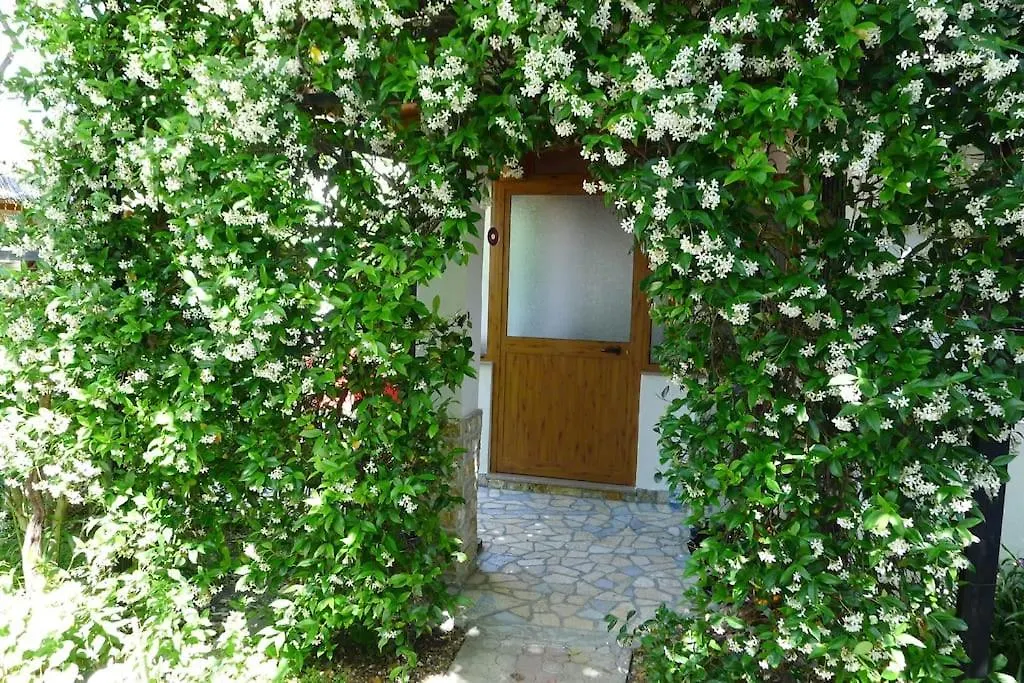 Holiday home Summer House - Room For 2 People In 2Nd Floor Velipoje Albania